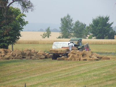 Bornholm, Denmark Countryside