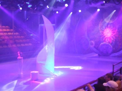 Ice Dancing Show