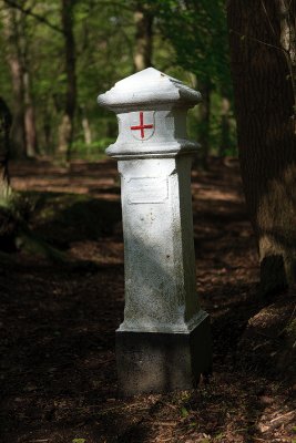 g4/88/542488/3/142811245.ZnUkolpC.jpg