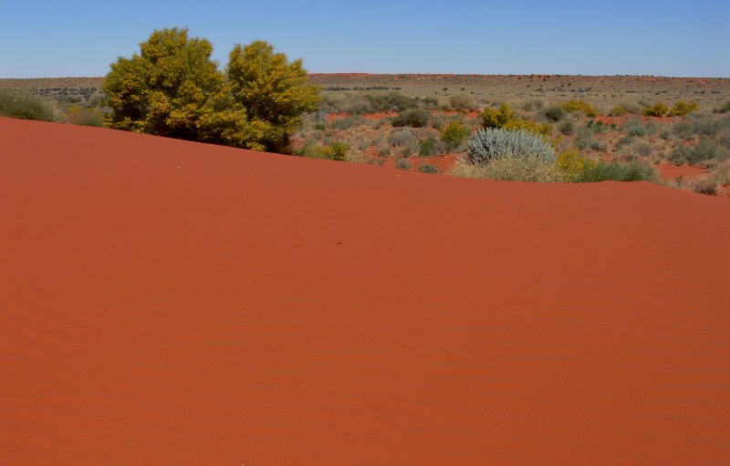 Dunes on Hay River Track