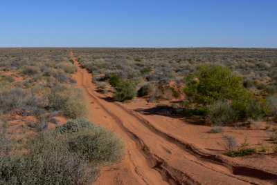 French Line, Simpson Desert