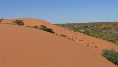 Sand Dune on French Line