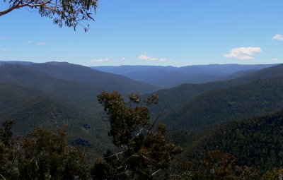 Macalister River Valley, from Butcher Country Track