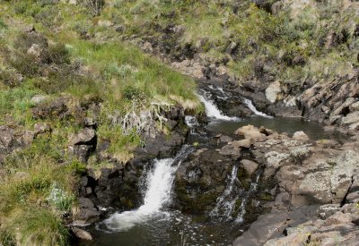 Caledonia River, Howitt Plains