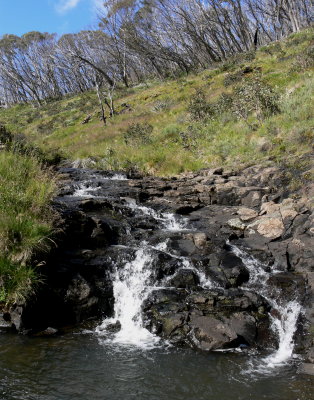 Caledonia River, Howitt Plains