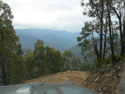 DESCENDING DINGO HILL TRACK