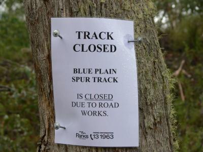 BLUE PLAIN SPUR TRACK