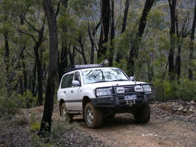 DUTCHY ASCENDING DEEP GULLY TRACK