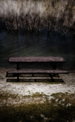 moonlit picnic