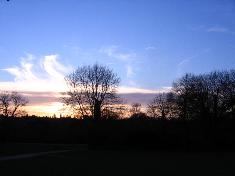 06.jpg