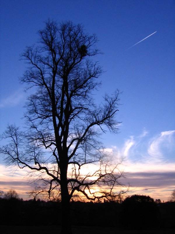 07.jpg