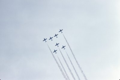 g4/88/639288/3/135582625.nbqIVnLa.jpg