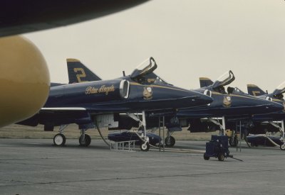 g4/88/639288/3/137817098.ryobDuaP.jpg