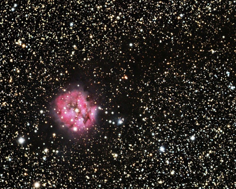 Cocoon Nebula.