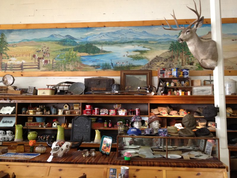 Adin General Store