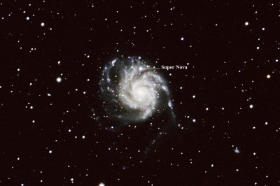 M101 with new Supernova.