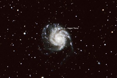 M101 with new Supernova.