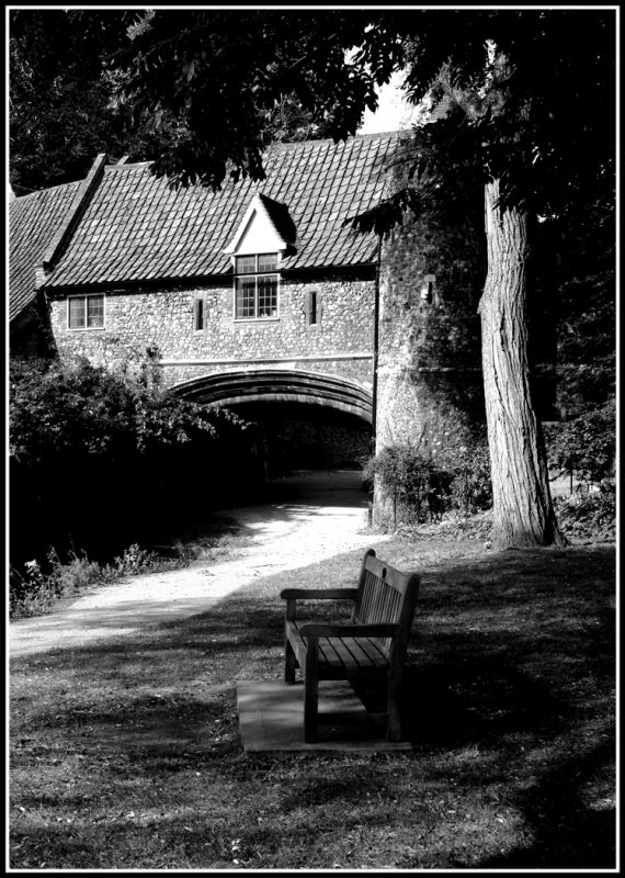 Ferry-Mill at Norwich.