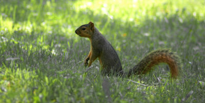g4/88/665688/3/61493028.IMG_2051_extreme5.jpg