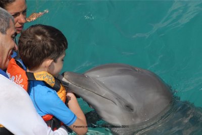 Golfinhos em Isla Mujeres 2011