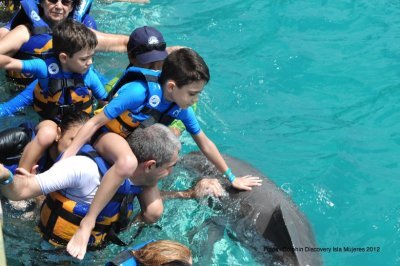 Parque Dolphin Discovery