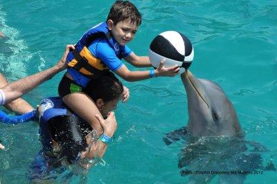 Parque Dolphin Discovery