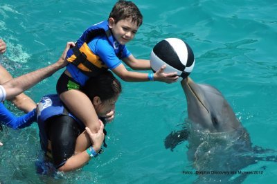 Parque Dolphin Discovery