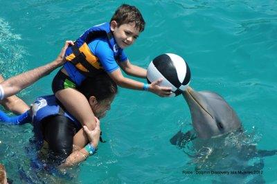 Parque Dolphin Discovery
