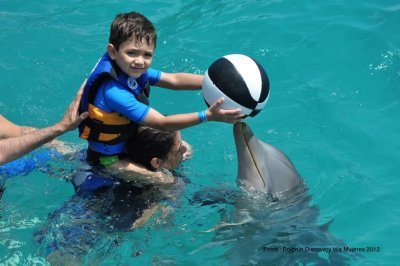 Parque Dolphin Discovery