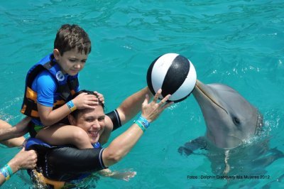 Parque Dolphin Discovery