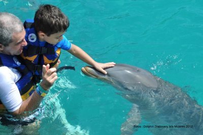 Parque Dolphin Discovery