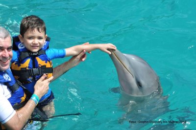 Parque Dolphin Discovery