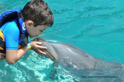 Parque Dolphin Discovery