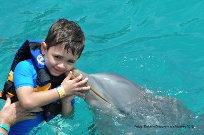 Parque Dolphin Discovery