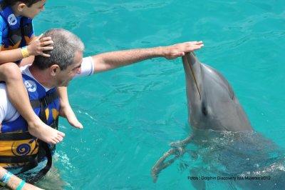 Parque Dolphin Discovery