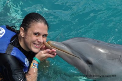 Parque Dolphin Discovery