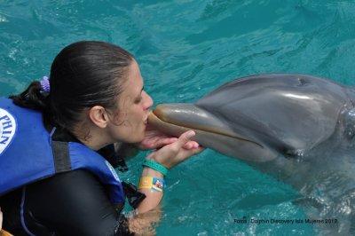 Parque Dolphin Discovery