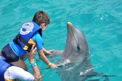 Parque Dolphin Discovery