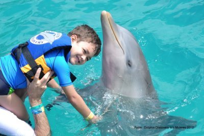 Parque Dolphin Discovery