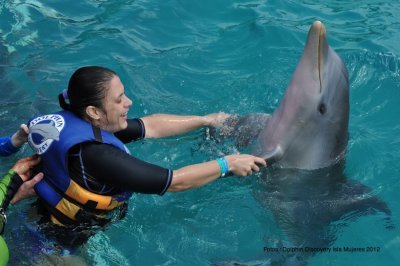 Parque Dolphin Discovery