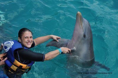 Parque Dolphin Discovery