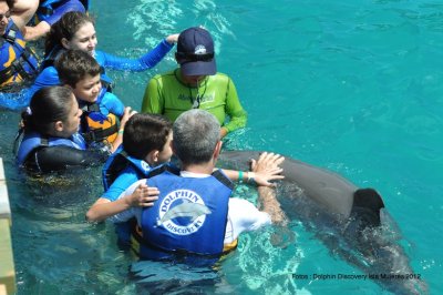 Fotos com Golfinhos 2012