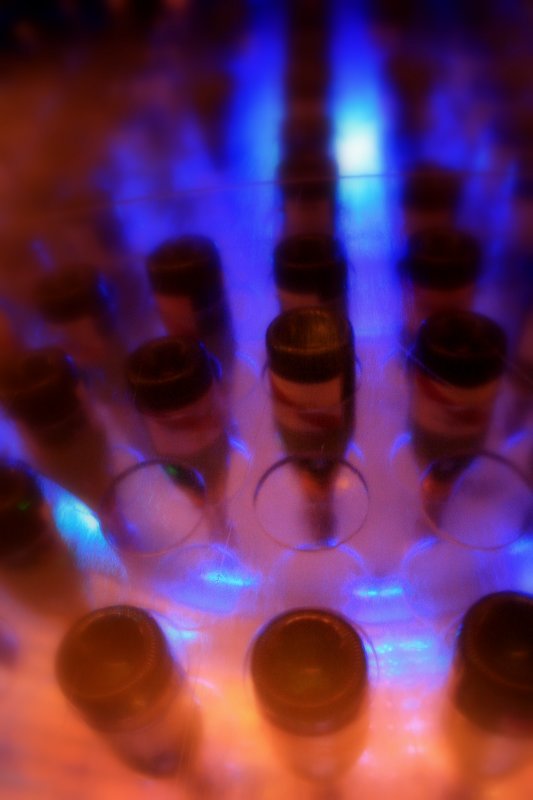 The wine cooler.jpg