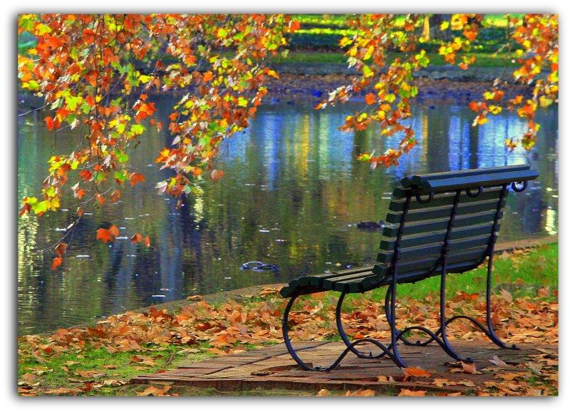 the bench.jpg