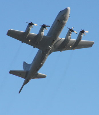 P3 7.jpg