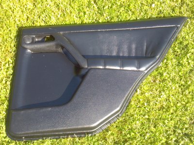 Passenger Rear Door Card.jpg