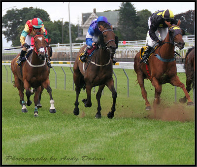Oilfield Charity Races New Plymouth Raceway 10 Feb 2012 IMG_5431a.jpg
