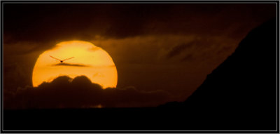 26 Mar 2012, Sunset against Motumahanga at 272°, 2012 IMG_5982