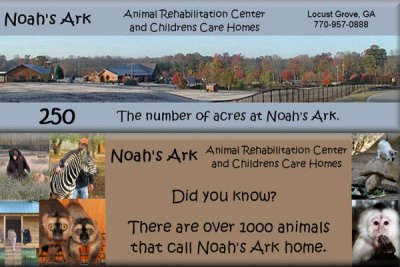 Noah's Ark March 2012