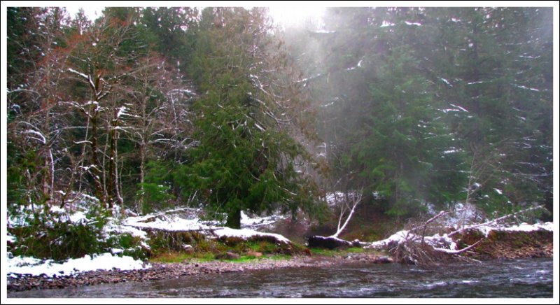 Across Salt Creek